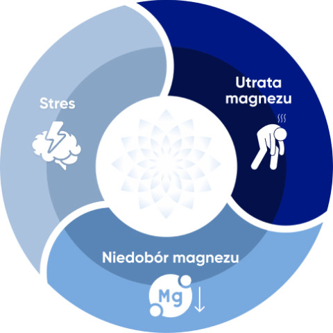 Objawy niedoboru magnezu zobrazowane na infografice