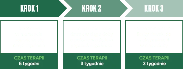 Stosowanie - Krok 1, Krok 2, Krok 3