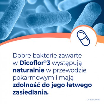 Dicoflor 3, 50 kapsułek - obrazek 7