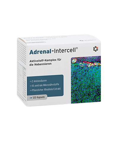 Adrenal-Intercell - 120 kaps. - cena, opinie, dawkowanie