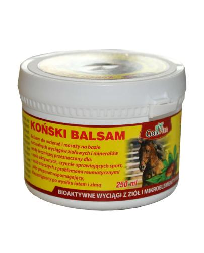 Koński Balsam Extra Forte, 250 ml cena, opinie, właściwości